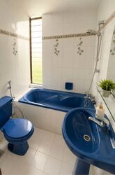 Pandan Valley (D21), Condominium #587726201